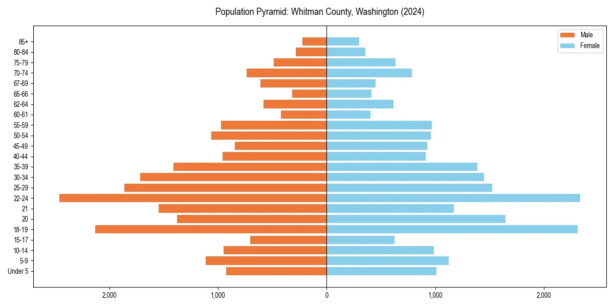 Population pyramid for 