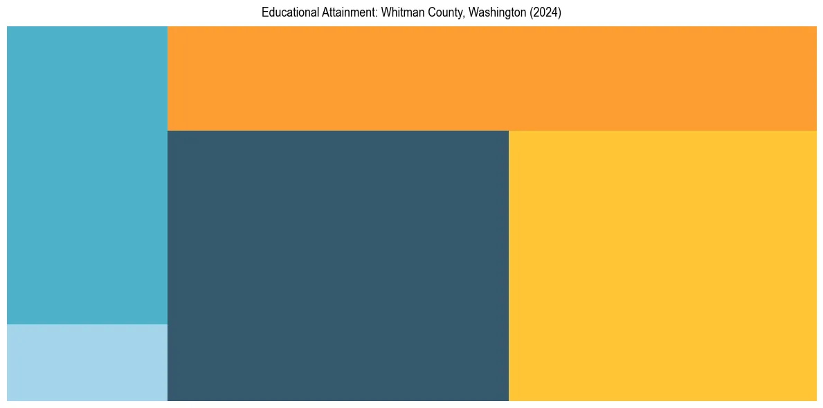 Education Treemap for  in 2024