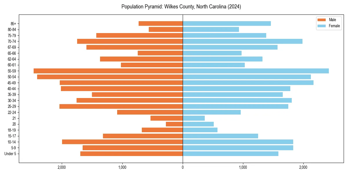 Population pyramid for 