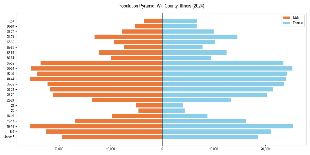Population pyramid for 