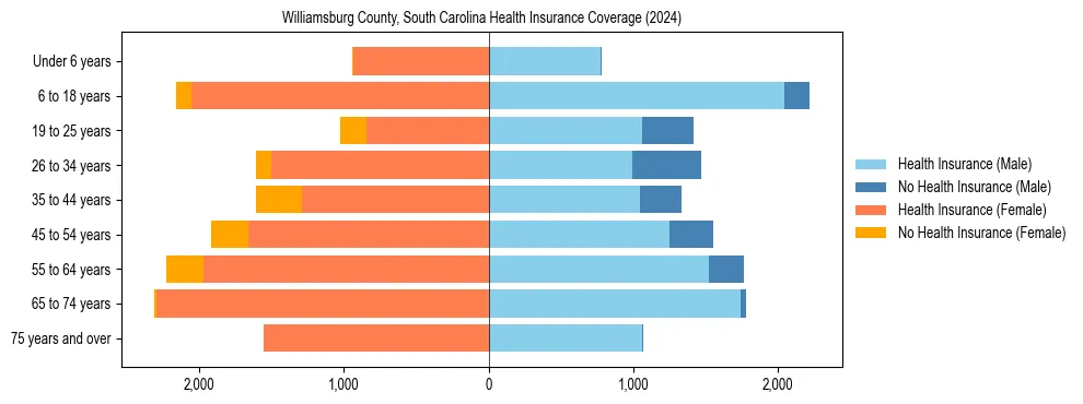 Health insurance pyramid for Williamsburg County, South Carolina