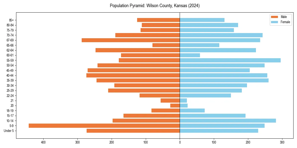 Population pyramid for 
