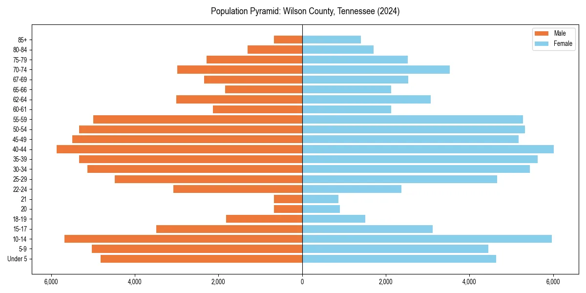 Population pyramid for 