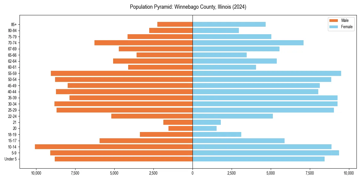 Population pyramid for 