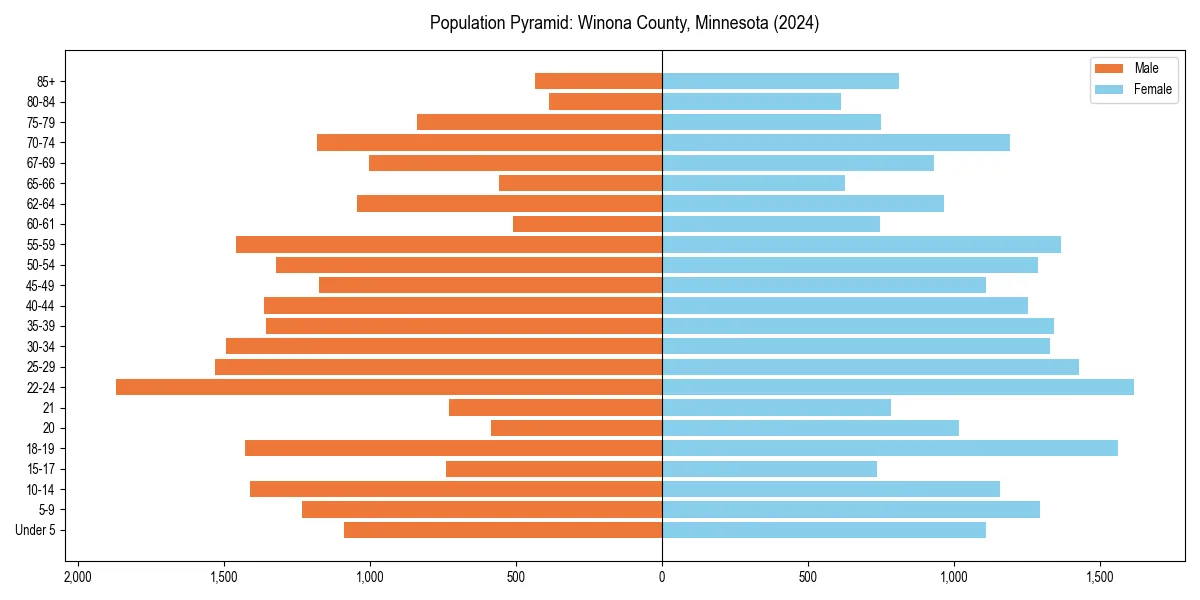 Population pyramid for 
