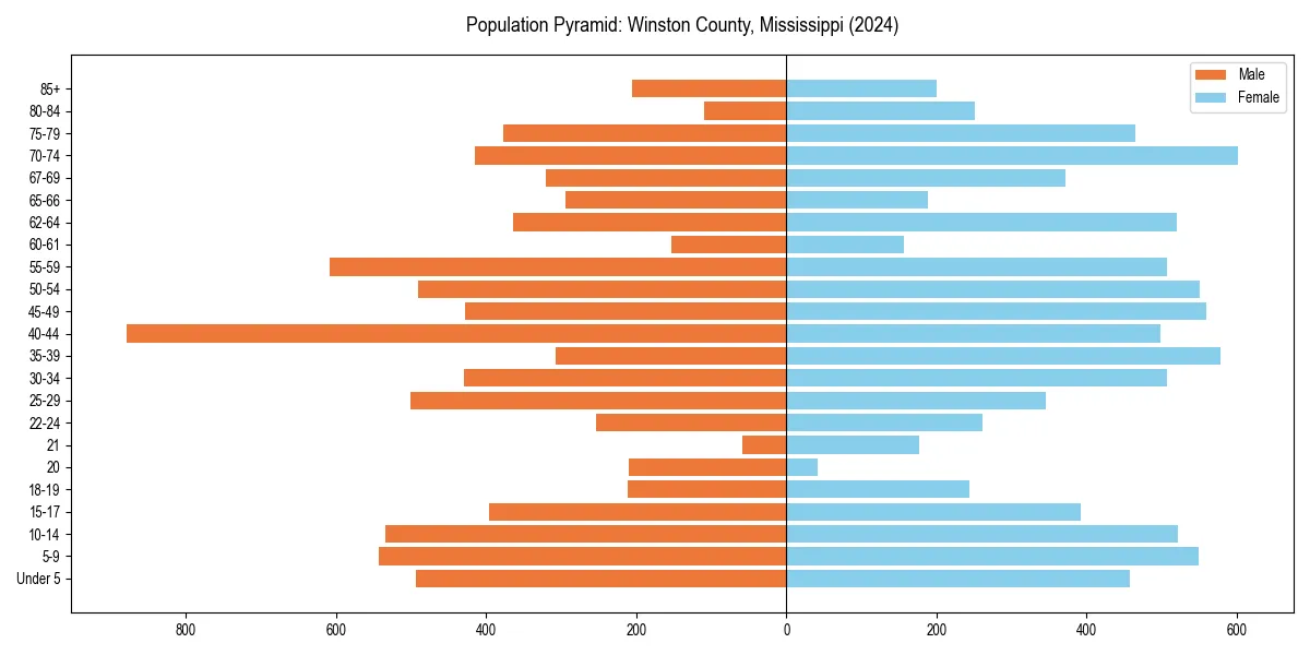 Population pyramid for 