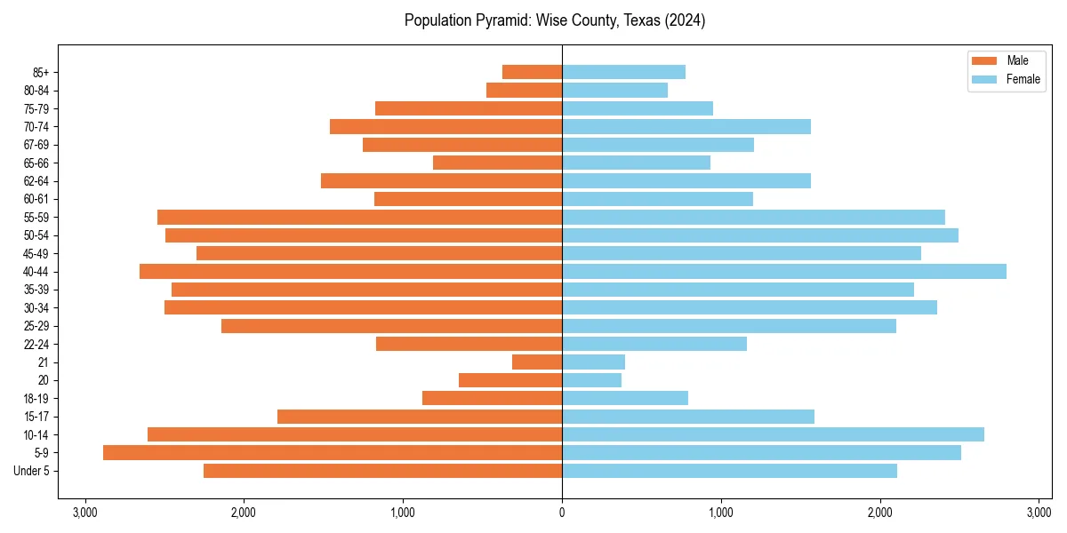 Population pyramid for 