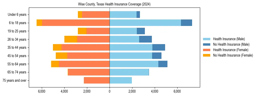 Health insurance pyramid for Wise County, Texas