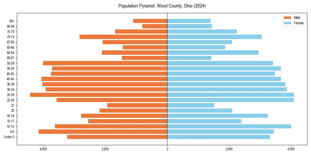 Population pyramid for 