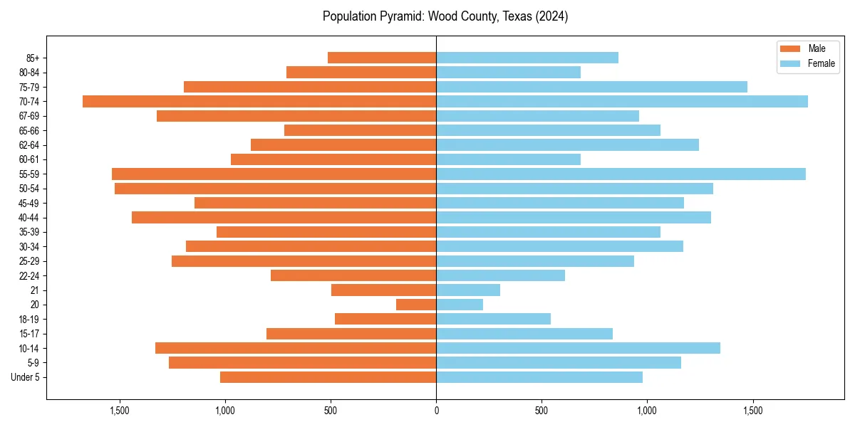 Population pyramid for 