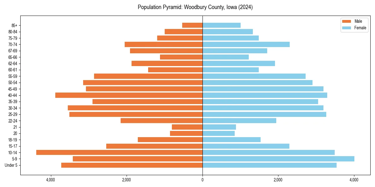 Population pyramid for 