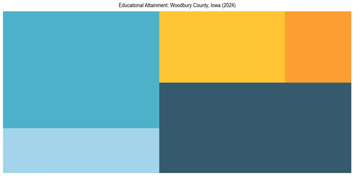 Education Treemap for  in 2024