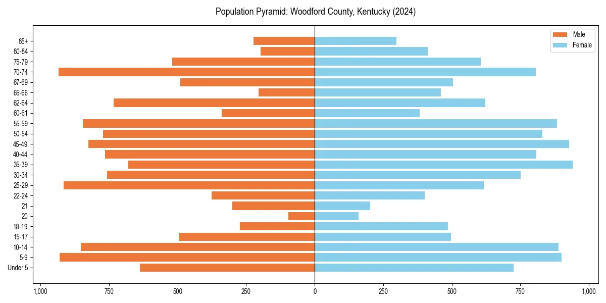 Population pyramid for 