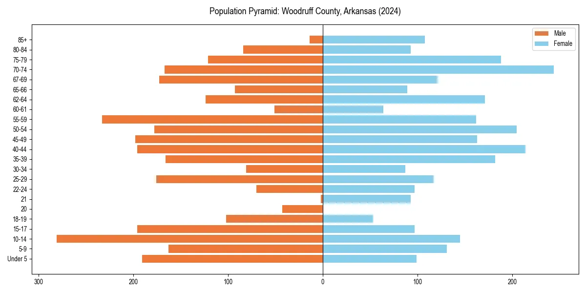 Population pyramid for 