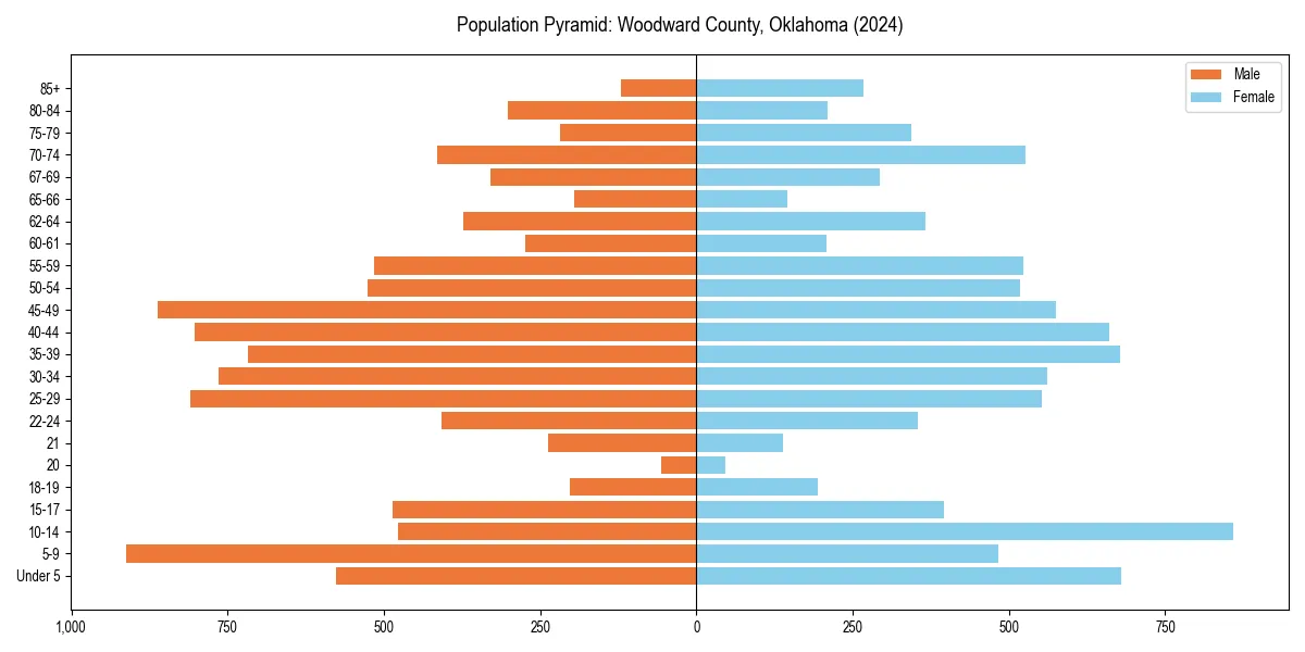 Population pyramid for 