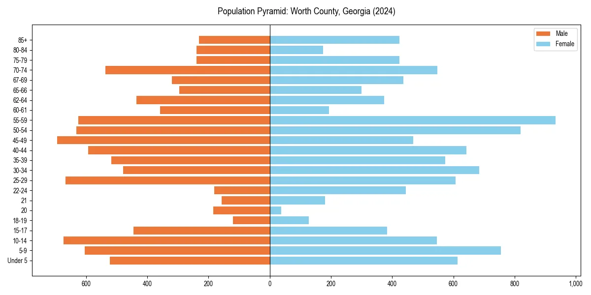 Population pyramid for 