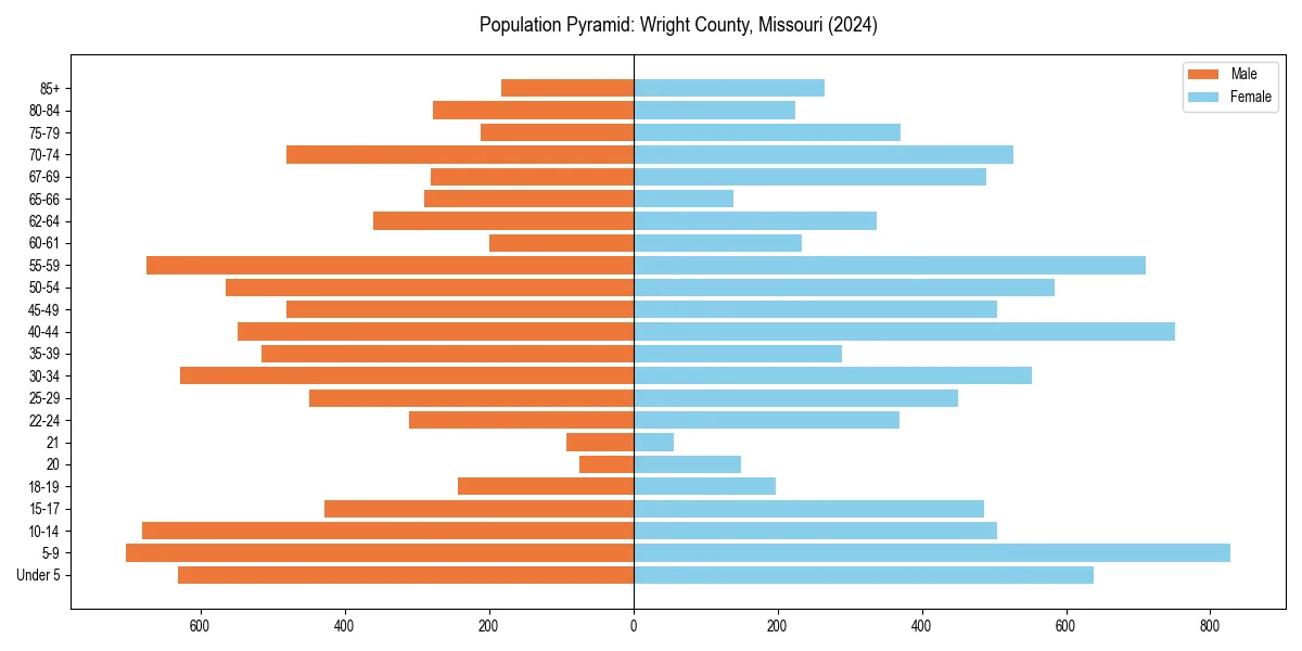 Population pyramid for 