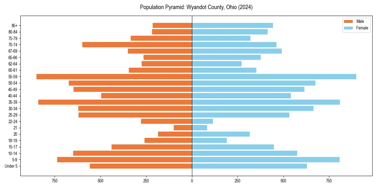 Population pyramid for 