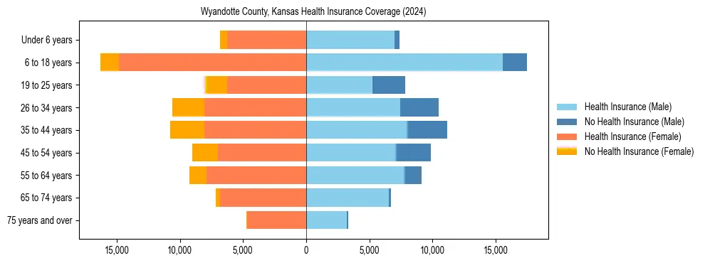 Health insurance pyramid for Wyandotte County, Kansas