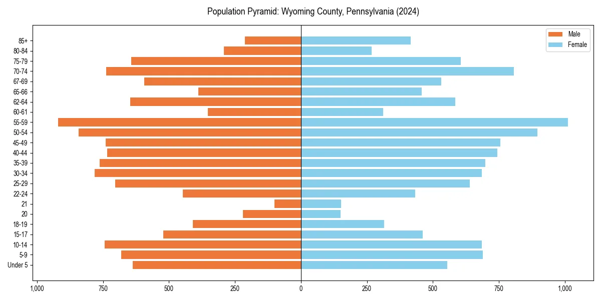 Population pyramid for 