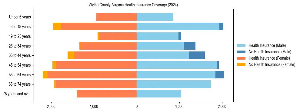 Health insurance pyramid for WyCounty, Virginia
