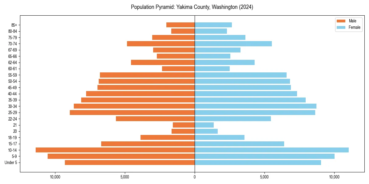 Population pyramid for 