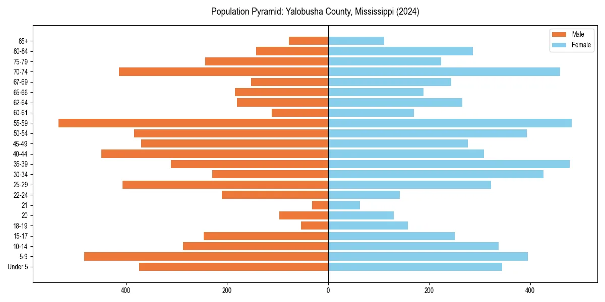 Population pyramid for 