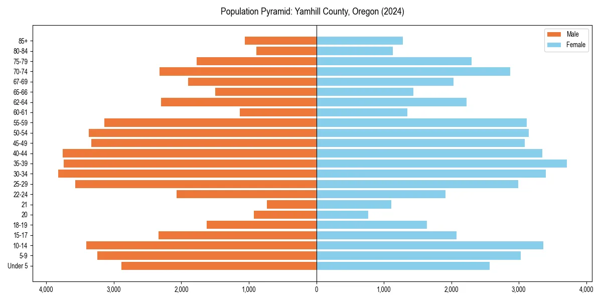 Population pyramid for 