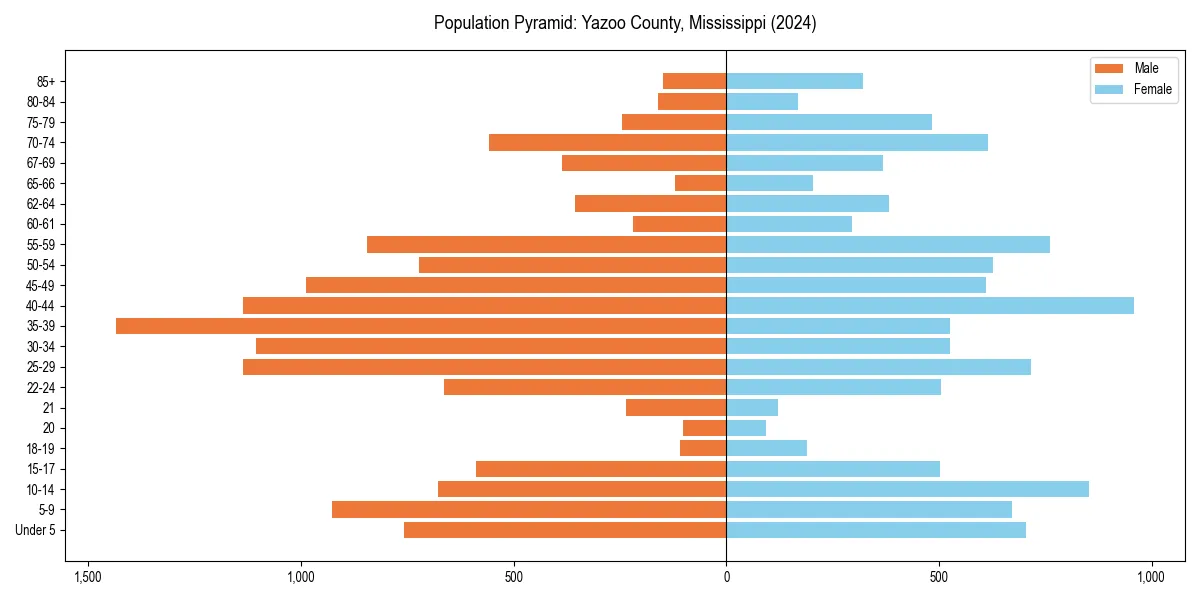Population pyramid for 