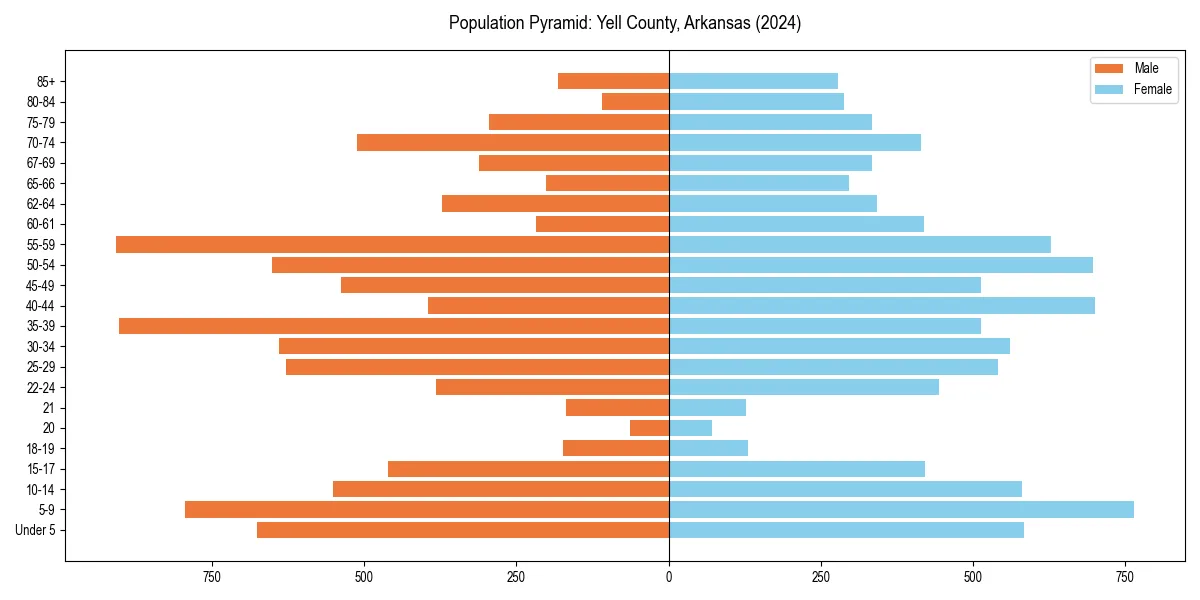 Population pyramid for 