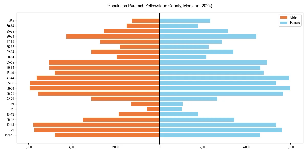 Population pyramid for 