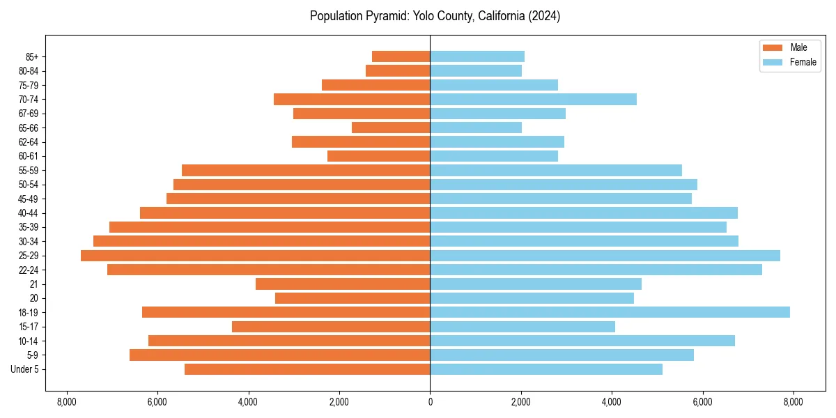 Population pyramid for 