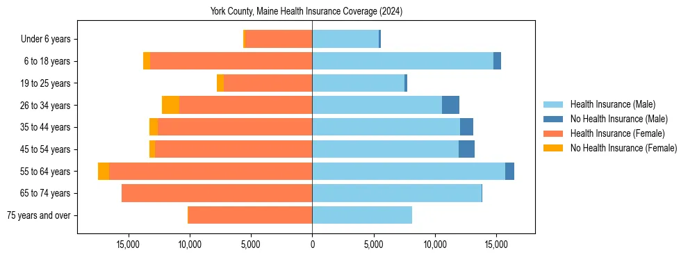 Health insurance pyramid for York County, Maine