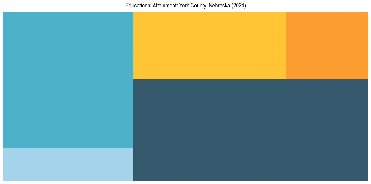 Education Treemap for  in 2024