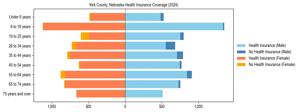 Health insurance pyramid for York County, Nebraska