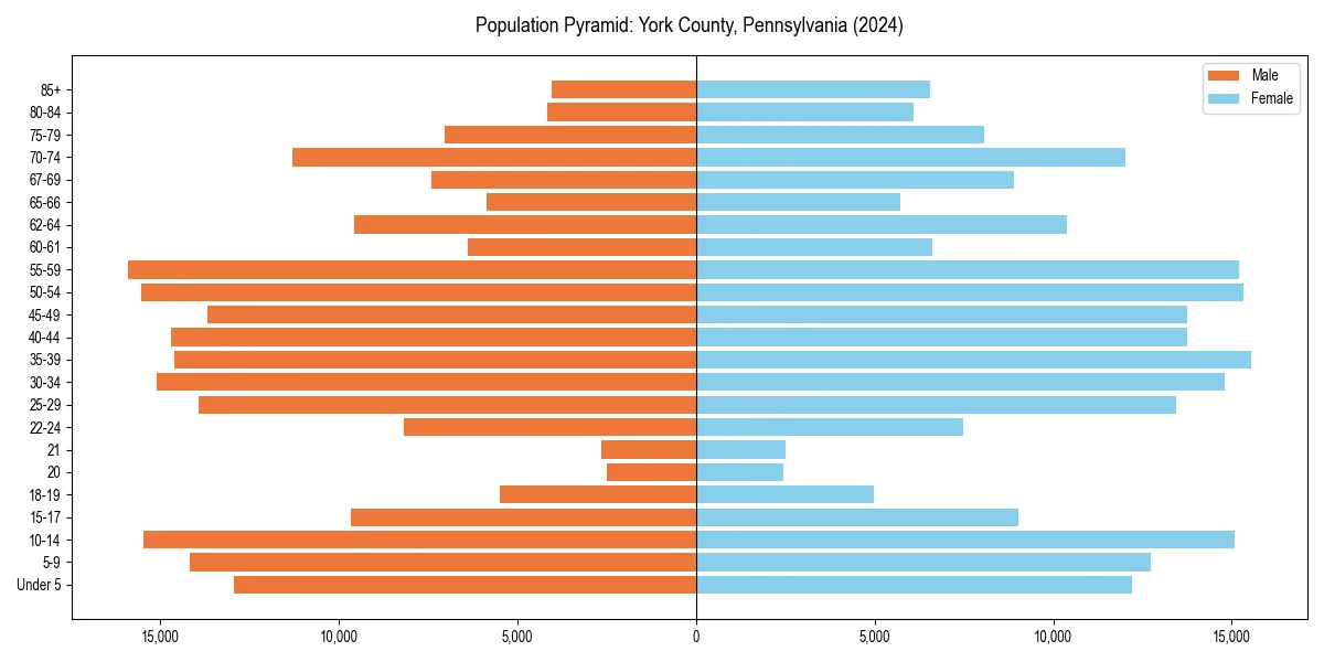 Population pyramid for 