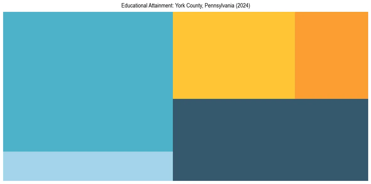 Education Treemap for  in 2024