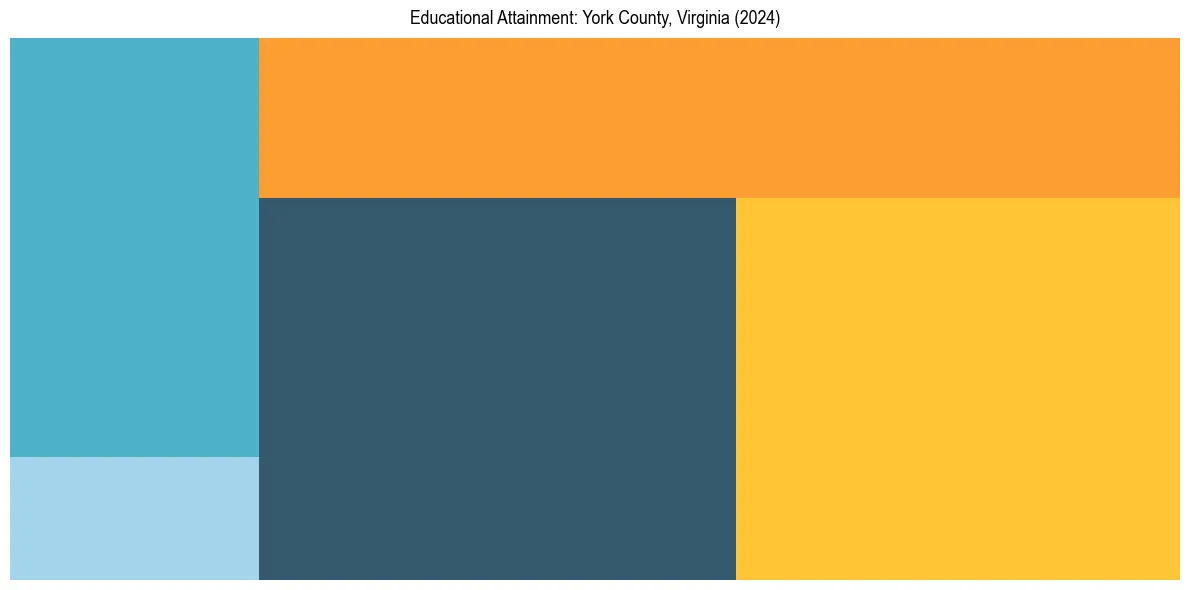 Education Treemap for  in 2024