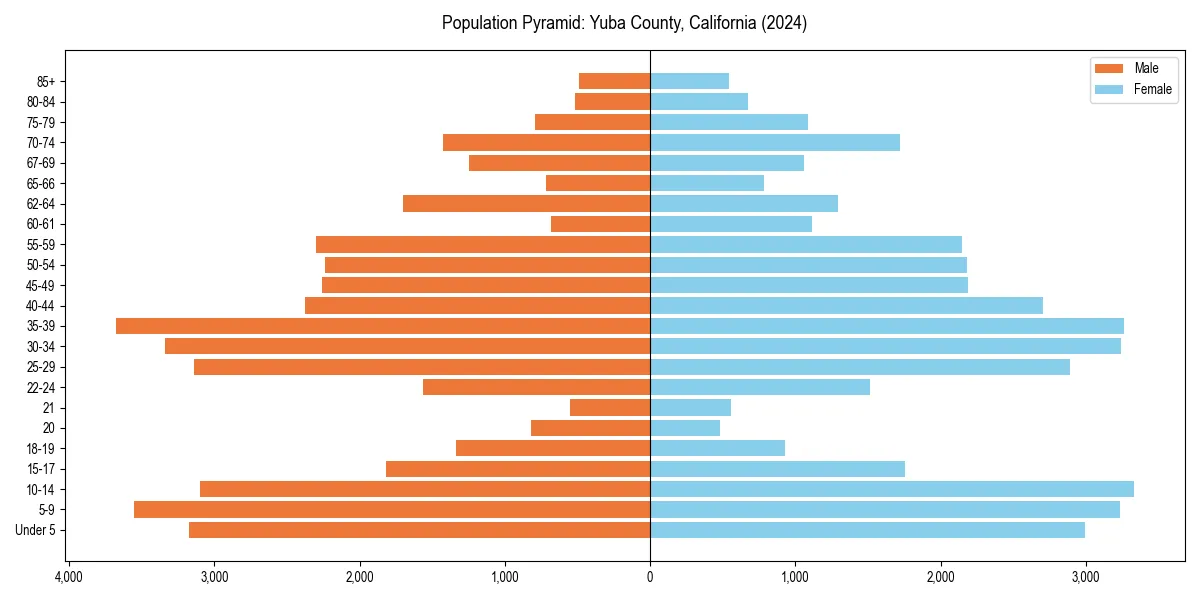 Population pyramid for 