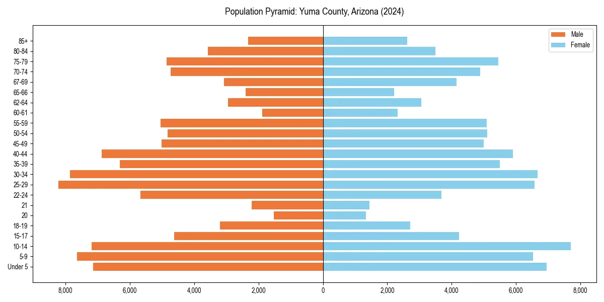 Population pyramid for 