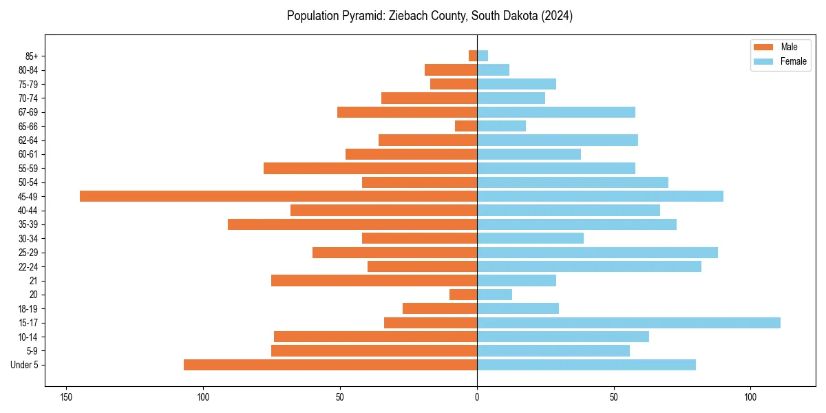 Population pyramid for 